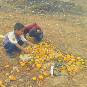 Wayuu boys selecting oranges to eat from the market trash area.